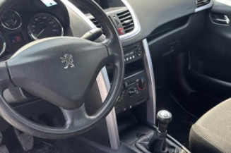 Cremaillere assistee PEUGEOT 207