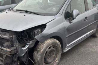 Cremaillere assistee PEUGEOT 207 Photo n°1