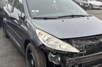 Cremaillere assistee PEUGEOT 207