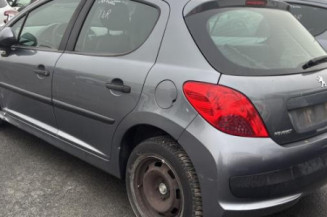 Cremaillere assistee PEUGEOT 207