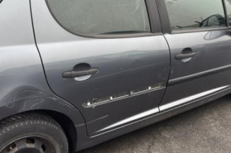 Cremaillere assistee PEUGEOT 207