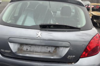 Cremaillere assistee PEUGEOT 207