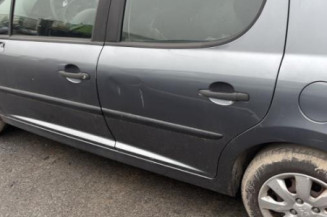 Cremaillere assistee PEUGEOT 207