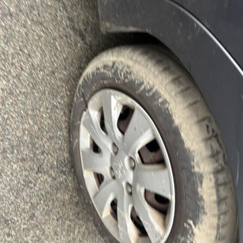 Cremaillere assistee PEUGEOT 207 Photo n°18