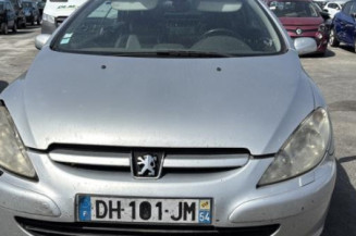 Feu arriere stop central PEUGEOT 307