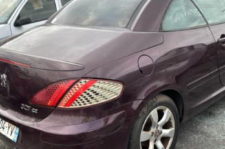 Feu arriere stop central PEUGEOT 307