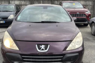 Feu arriere stop central PEUGEOT 307