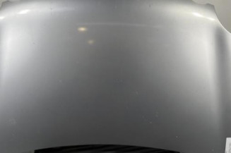 Capot VOLKSWAGEN POLO 4 Photo n°1