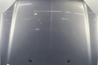 Capot CITROEN XSARA Photo n°1