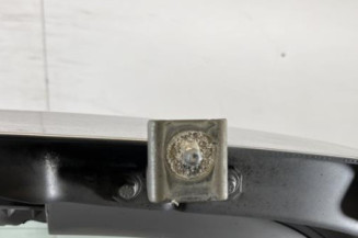 Malle/Hayon arriere RENAULT SCENIC 3