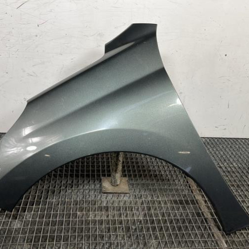 Aile avant gauche PEUGEOT 207 Photo n°1