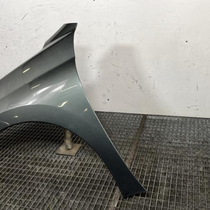 Aile avant gauche PEUGEOT 207 Photo n°3