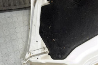 Capot PEUGEOT PARTNER 2