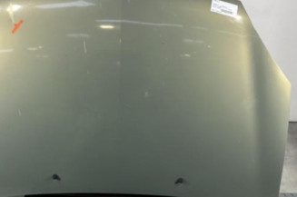 Capot RENAULT CLIO 2 Photo n°1