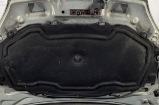 Capot RENAULT CLIO 2