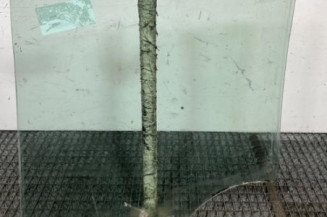 Vitre arriere droit RENAULT CLIO 3