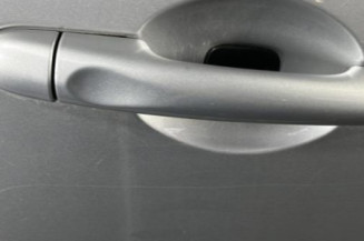 Porte arriere droit RENAULT SCENIC 3