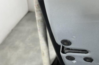 Porte arriere droit RENAULT SCENIC 3