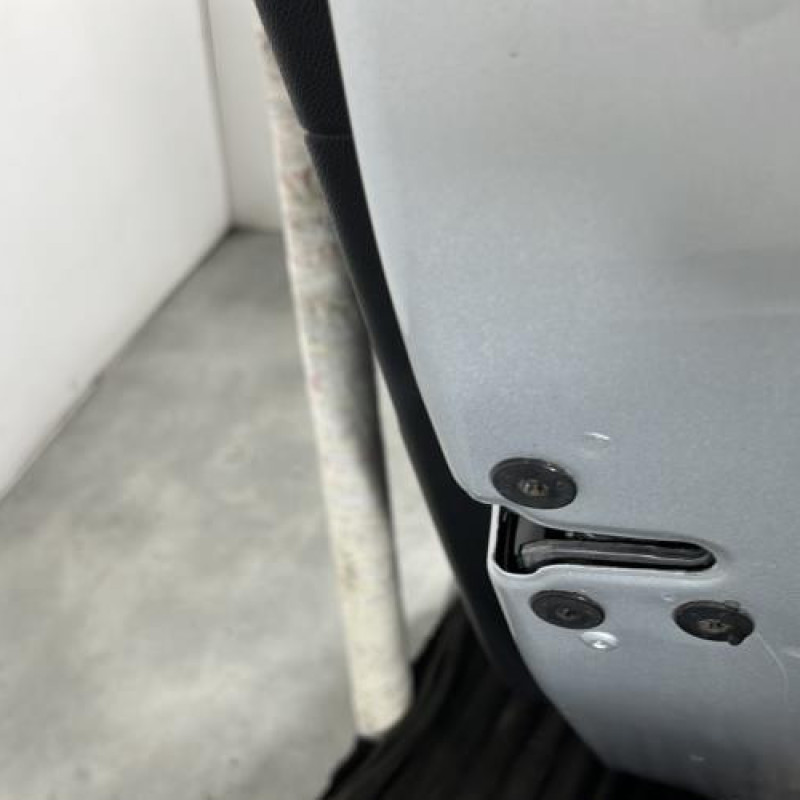 Porte arriere droit RENAULT SCENIC 3 Photo n°3