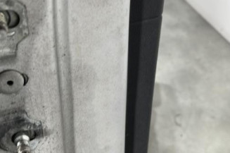 Porte arriere droit RENAULT SCENIC 3