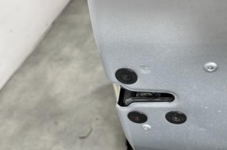 Porte avant droit RENAULT SCENIC 3