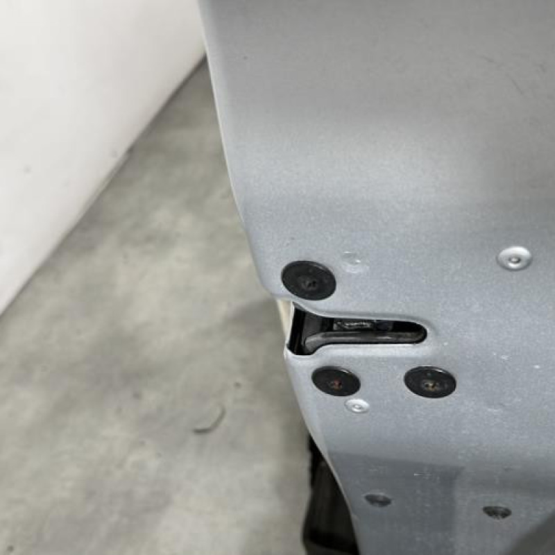 Porte avant droit RENAULT SCENIC 3 Photo n°4