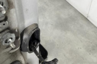 Porte avant droit RENAULT SCENIC 3