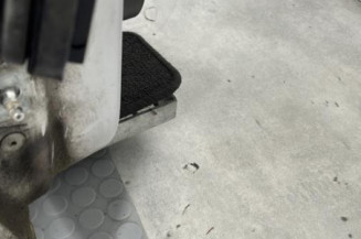 Porte avant droit RENAULT SCENIC 3