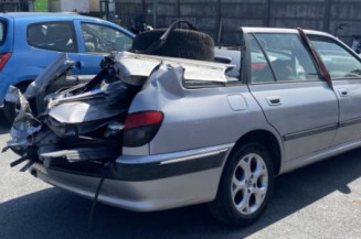 Custode arriere droit (porte) PEUGEOT 406