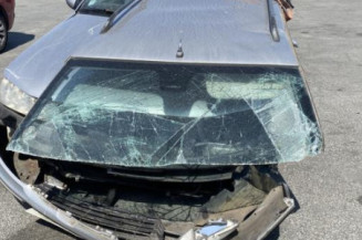 Custode arriere droit (porte) PEUGEOT 406