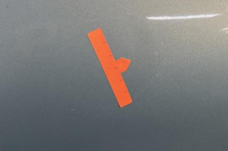 Porte arriere gauche RENAULT CLIO 2