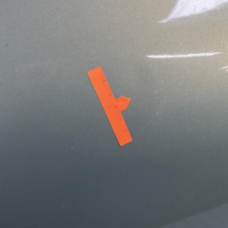 Porte arriere gauche RENAULT CLIO 2 Photo n°3