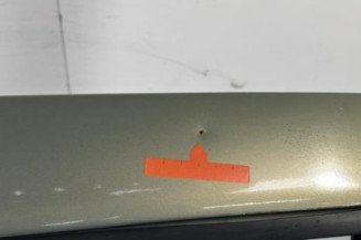 Porte arriere gauche RENAULT CLIO 2