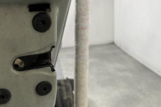 Porte arriere gauche RENAULT CLIO 2