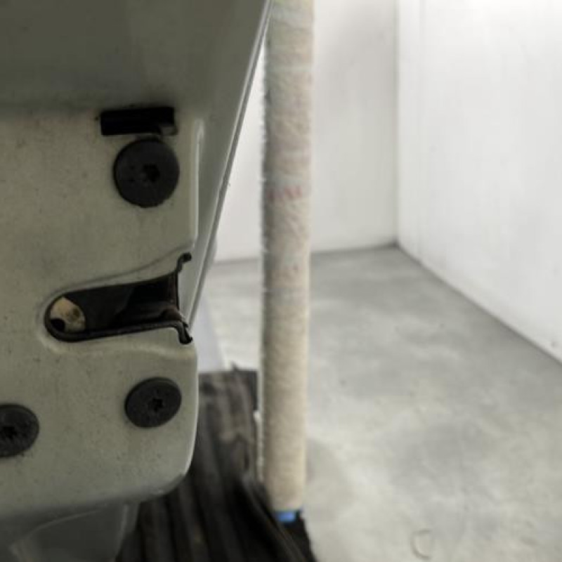 Porte arriere gauche RENAULT CLIO 2 Photo n°5