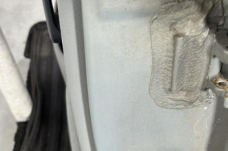 Porte arriere gauche RENAULT CLIO 2