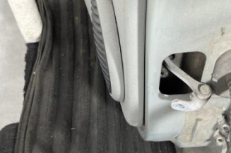 Porte arriere gauche RENAULT CLIO 2