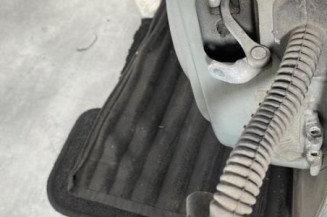 Porte arriere gauche RENAULT CLIO 2