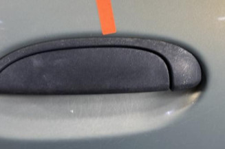 Porte avant gauche RENAULT CLIO 2