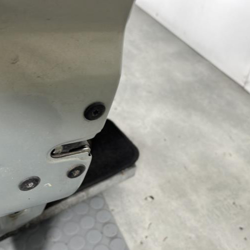 Porte avant gauche RENAULT CLIO 2 Photo n°4