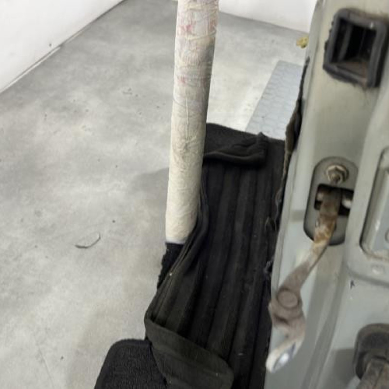 Porte avant gauche RENAULT CLIO 2 Photo n°5