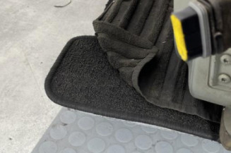 Porte avant gauche RENAULT CLIO 2