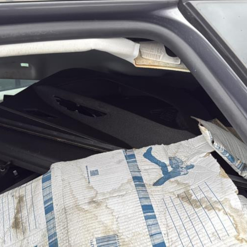 Custode arriere gauche PEUGEOT 5008 2 Photo n°17