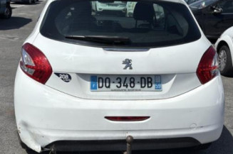 Custode arriere gauche PEUGEOT 208 1