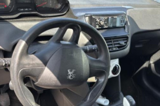 Custode arriere gauche PEUGEOT 208 1