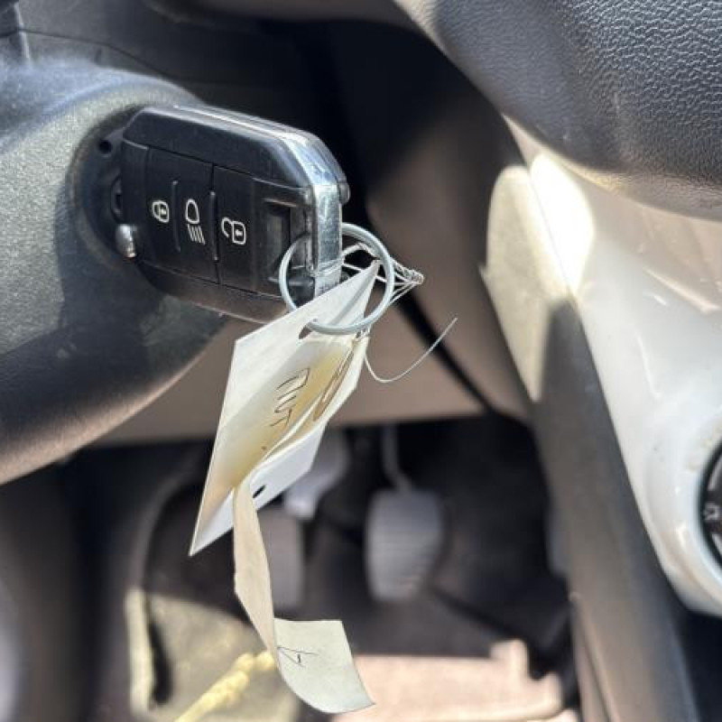 Custode arriere gauche PEUGEOT 208 1 Photo n°19