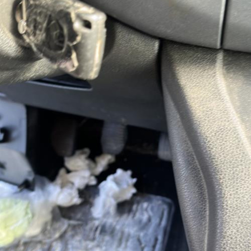 Custode avant gauche (porte) PEUGEOT PARTNER 2 Photo n°11