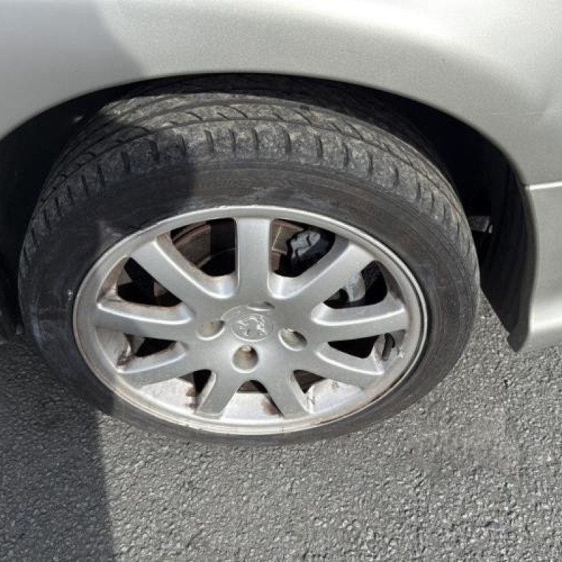 Custode arriere gauche PEUGEOT 206 Photo n°20