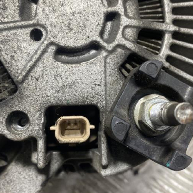 Alternateur RENAULT LATITUDE Photo n°6