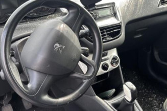 Custode arriere gauche PEUGEOT 208 1